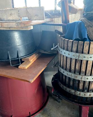 torchio e tina per uva