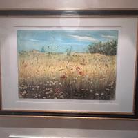 Stampa a colori “Il Campo” Zambrelli Marco