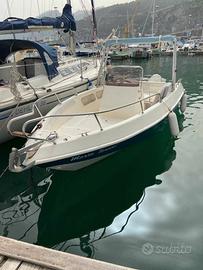 2009 Romar 600 con Evinrude 90cv e-tec