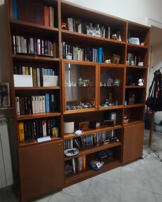 Libreria in legno con vetrina e ante 