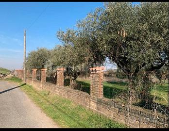 Terreno per aziendina agricola
