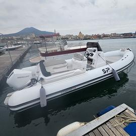 SEA PROP  2025   MERCURY 225  GARANZIA  AL 2030