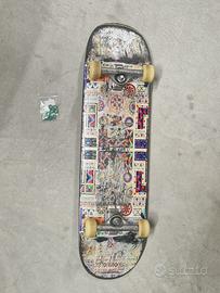 Skate board