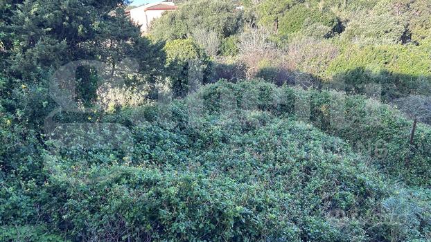 Terreno Residenziale Santa Teresa Gallura [717VRG]