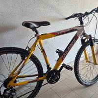 bicicletta mtb route 24"