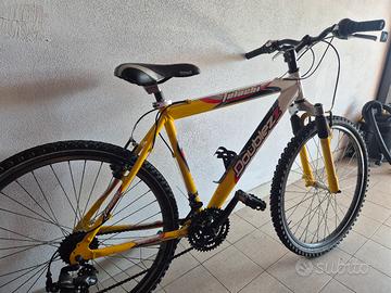 bicicletta mtb route 24"