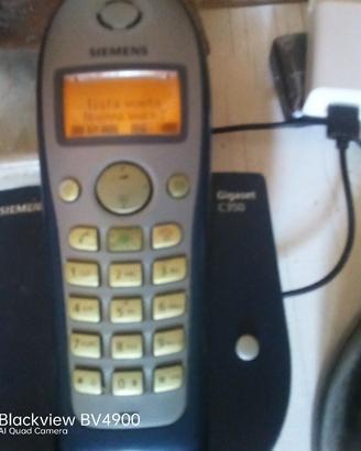 10 telefoni cordless siemens gigaset  a250-a350