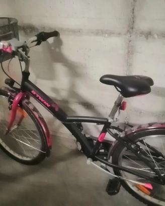 Bicicletta 24