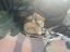 Immagine 13