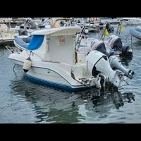 Quicksilver 540