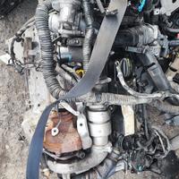 Motore Ford Focus 1.6 cod. mot. T1DB