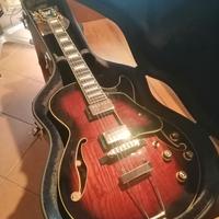 Chitarra elettrica Ibanez AG95QA-DBS con custodia.