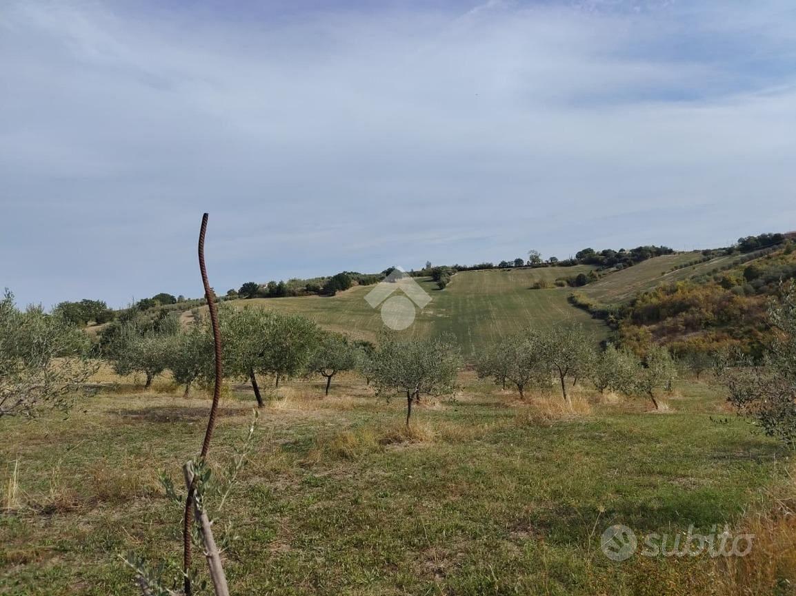 TER. AGRICOLO A VERUCCHIO - Vista 4