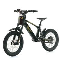 Mini Moto Elettrica Brushless 36V 500W
