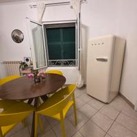 4 sedie in polipropilene gialle-design moderno 