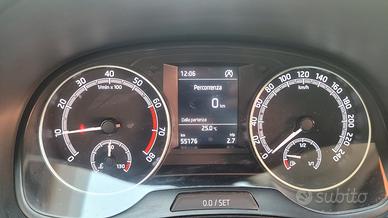 skoda fabia Montecarlo 