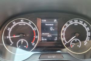 skoda fabia Montecarlo 