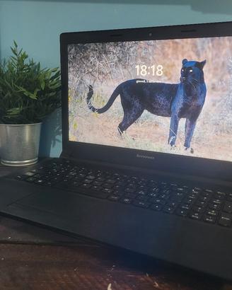 Notebook lenovo 15,6" i5 8gb ram 240gb ssd win 11