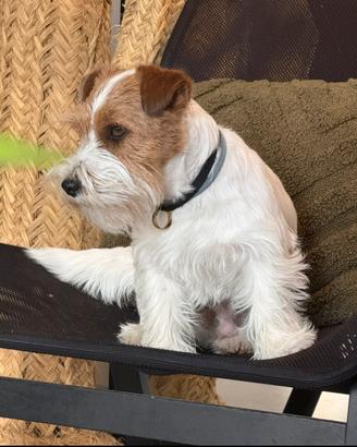 Disponibile per monte