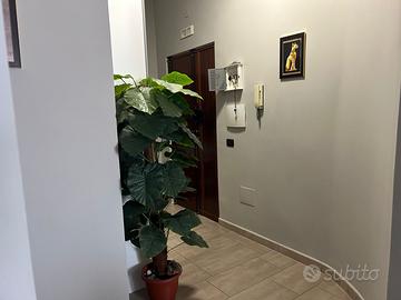 Appartamento in parco con posto auto