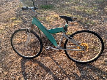 Bicicletta pirinfarina