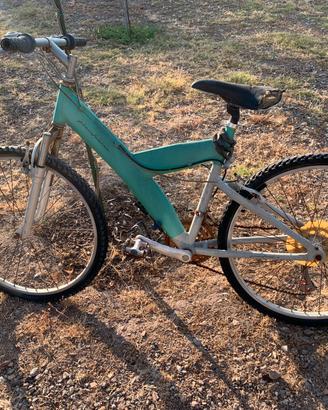 Bicicletta pirinfarina