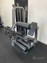 Leg Extension Professionale Usata