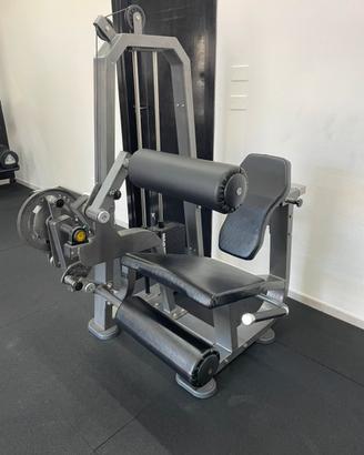 Leg Extension Professionale Usata
