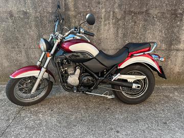 Beta Euro 350
