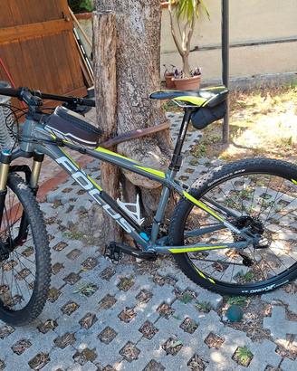 bici MTB focus