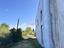 Immagine 11