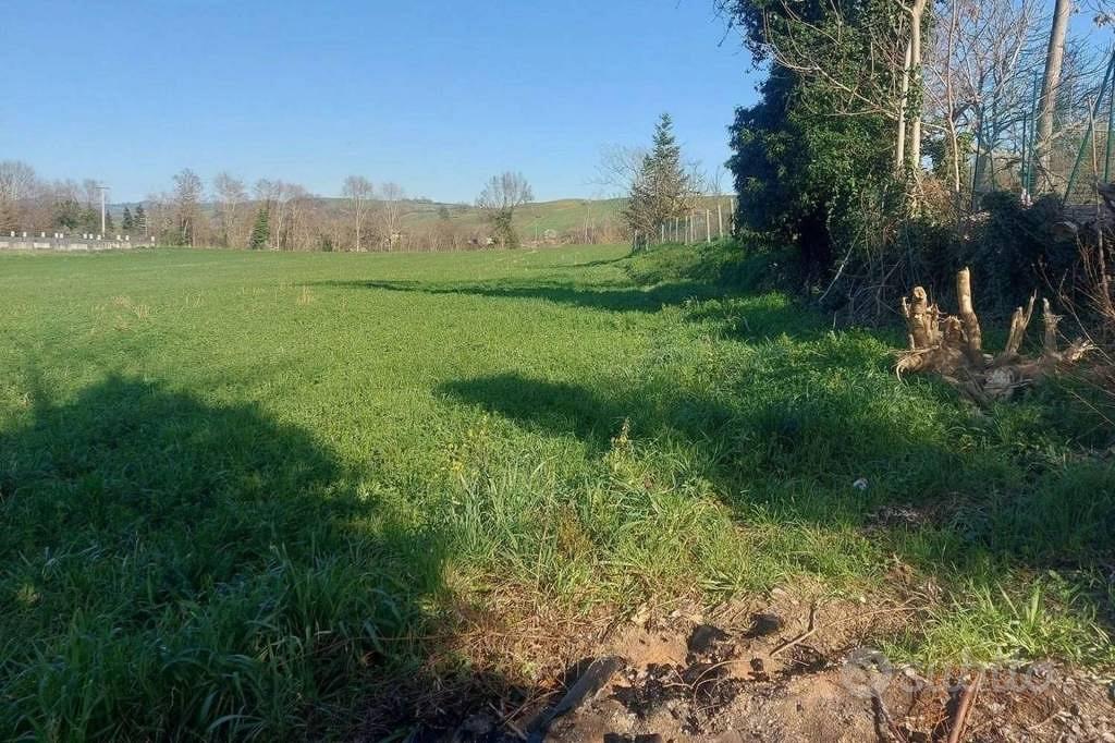 Immobile in asta di 12150 m² a Mercato Saraceno - Vista 2