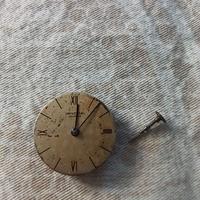 orologio donna