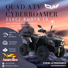 CYBERROAMER 250 CVM