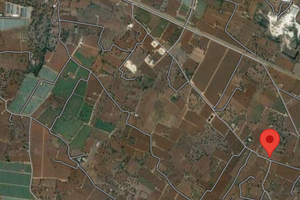 Terreno agricolo a 2 km da Polignano a mare