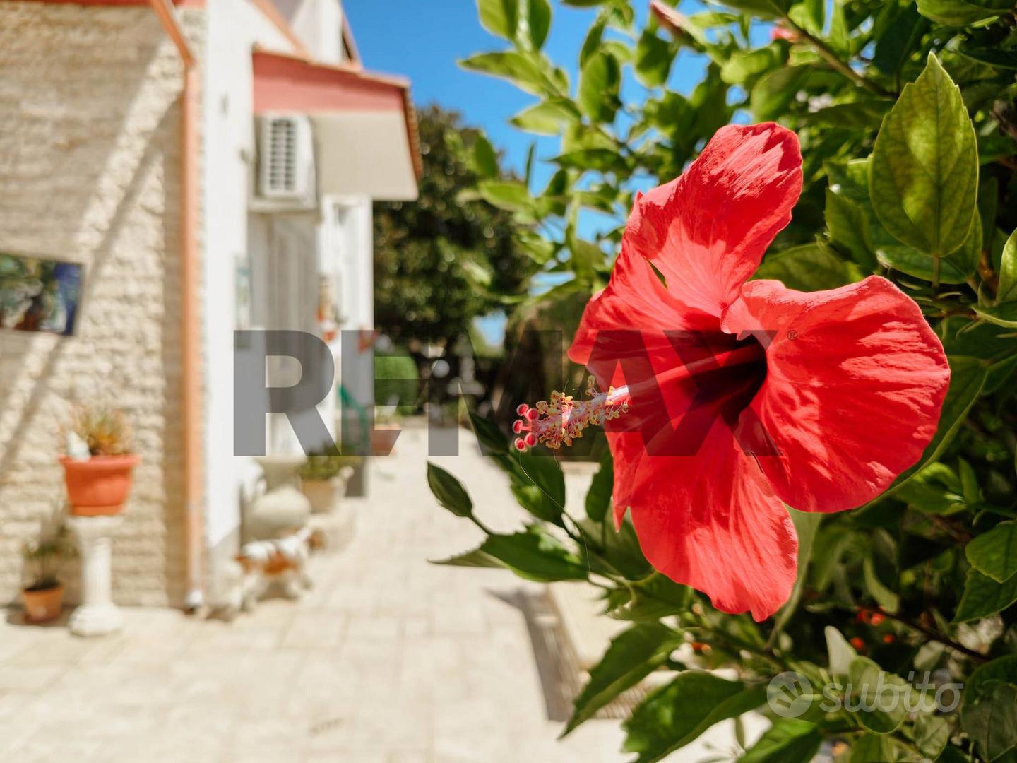 Casa – Noicattaro, Città Giardino - Vista 5