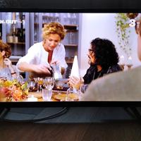 TV  TeleSystem 24"