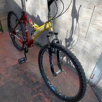 Bicicletta Uomo/Ragazzo