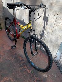 Bicicletta Uomo/Ragazzo