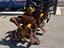 Immagine 4
