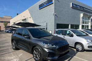 FORD Kuga 2.0 EcoBlue 120 CV aut. ST-Line