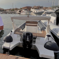 Master 699 con Mercury 150