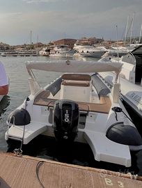 Master 699 con Mercury 150