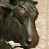 Bronzo TORO ?
