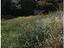 Immagine 22