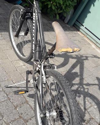 Mountain bike 24cm Bottecchia