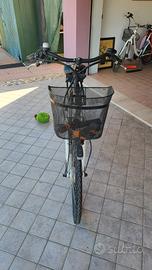 bici elettrica 