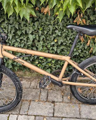 Bici BMX