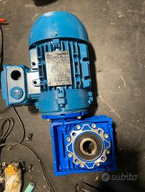 Motoriduttore elettrico trifase