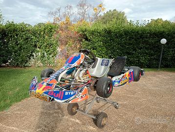 Kart 125cc/100cc/60cc-minimoto